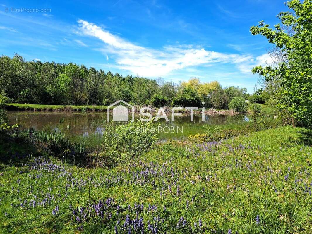 Photo 3 - Terrain à CONDAL