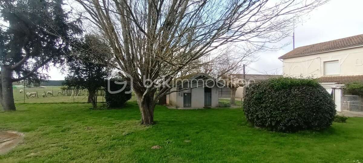 Maison à TONNEINS
