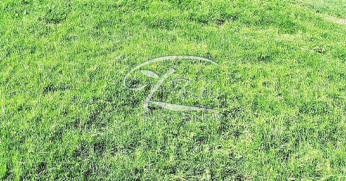 Terrain à LA LANDE-DE-FRONSAC