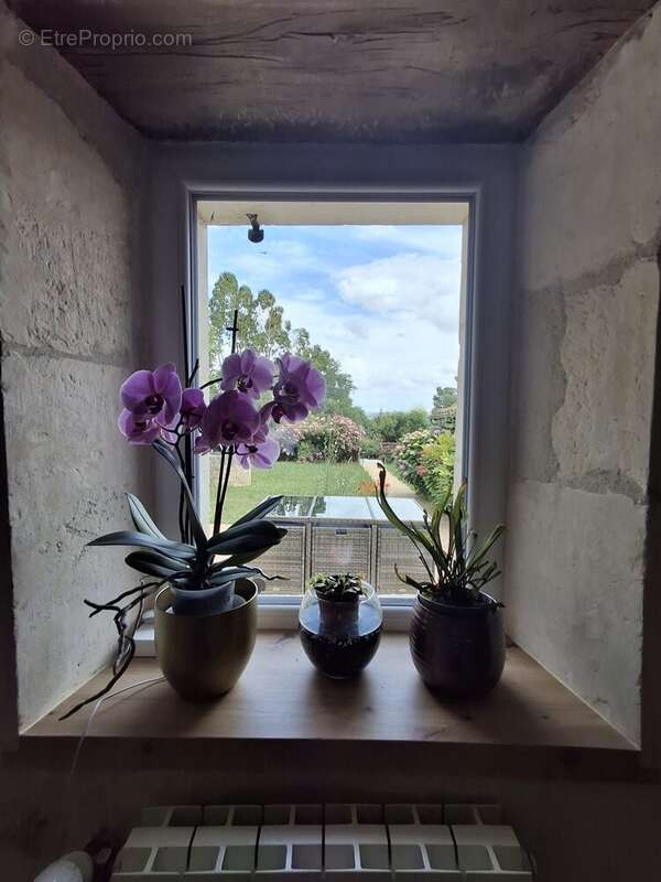 Maison 219 m² à Chasseneuil-Sur-Bonnieure  - photo 6