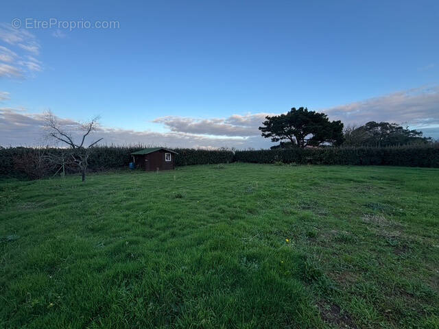 Terrain à TALMONT-SAINT-HILAIRE