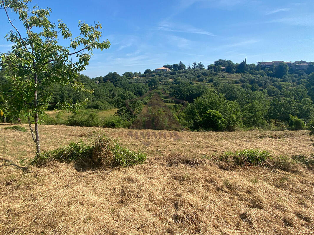 Terrain à SAINT-PAUL-LE-JEUNE