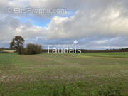 Terrain à SAINT-GERMAIN-D'ELLE