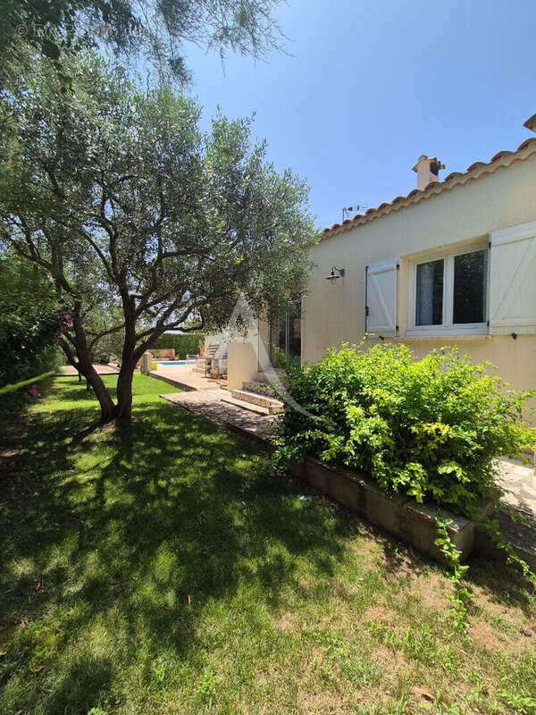 Villa T5 de 156 m2 - Piscine + studio indépendant - Balaruc les bains - photo 6