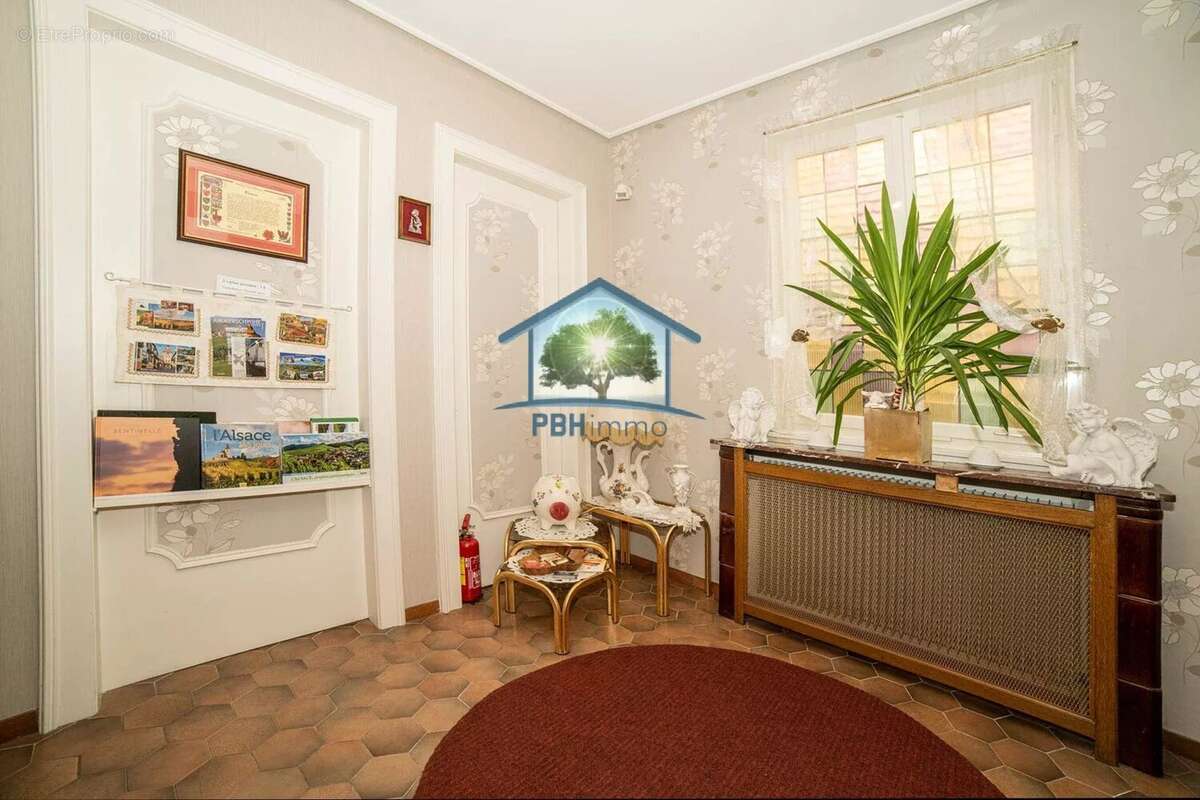 AMMERSCHWIHR (68) - Gîte & Chambres d'Hôtes Clé en Main - photo 21