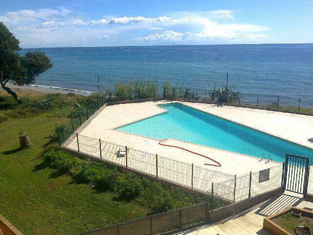 Superbe Studio avec Vue sur Mer à Santa-Lucia-di-Moriani avec Piscine vue mers - photo 3