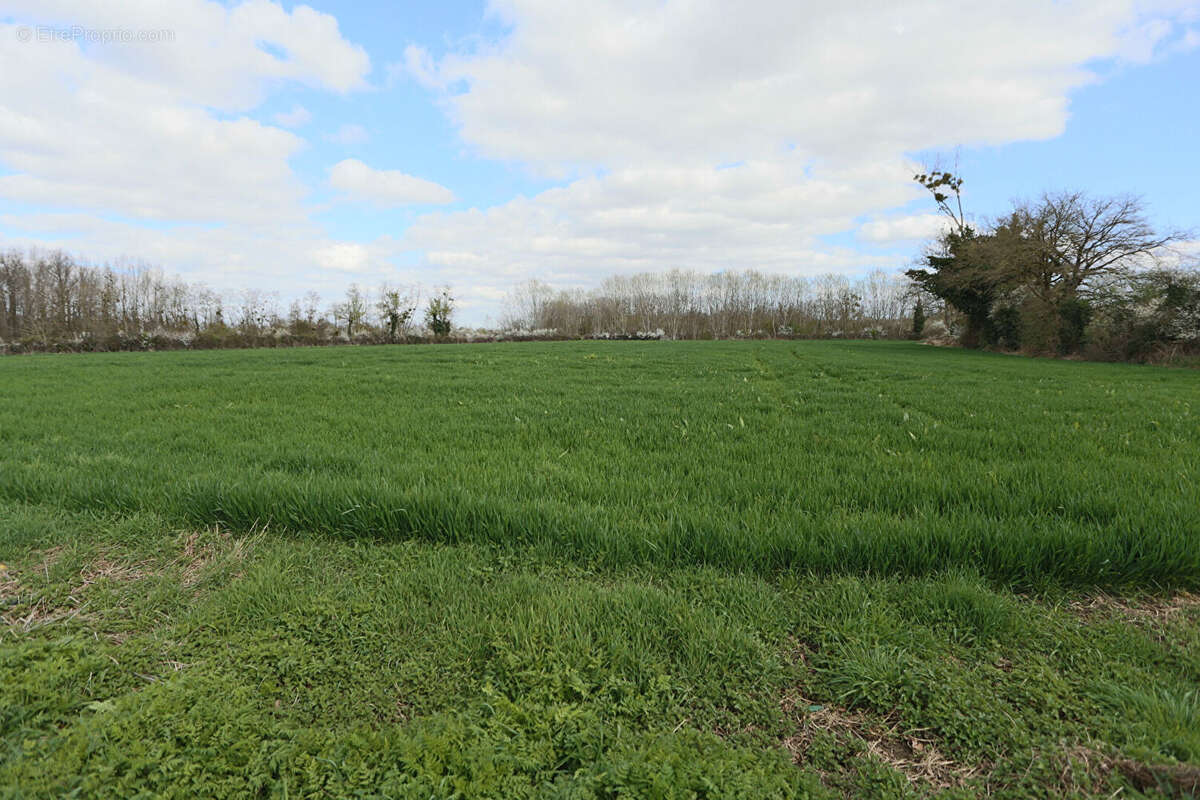 Terrain à SAINT-GERMAIN-DE-SALLES