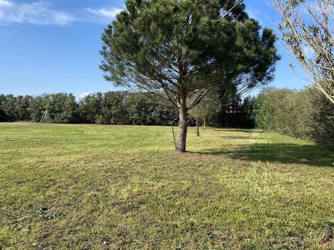 Photo 4 - Terrain à ELNE