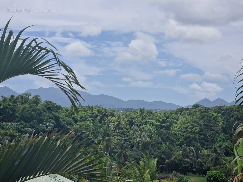Maison à BAIE-MAHAULT