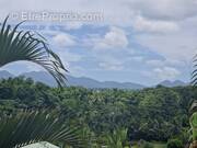 Maison à BAIE-MAHAULT