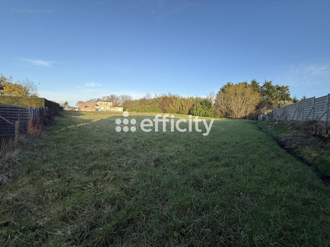 Terrain à SAINT-SULPICE-DE-ROYAN