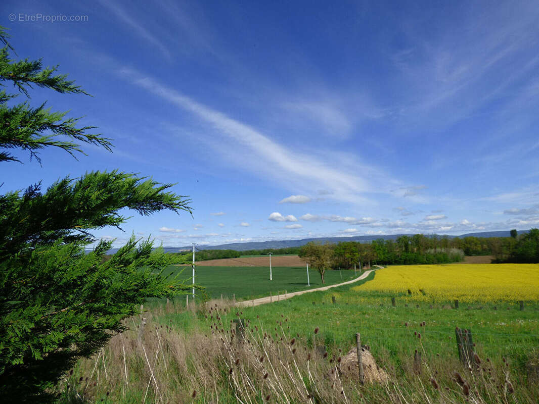 Ferme avec + de 6HA de terrain - photo 15