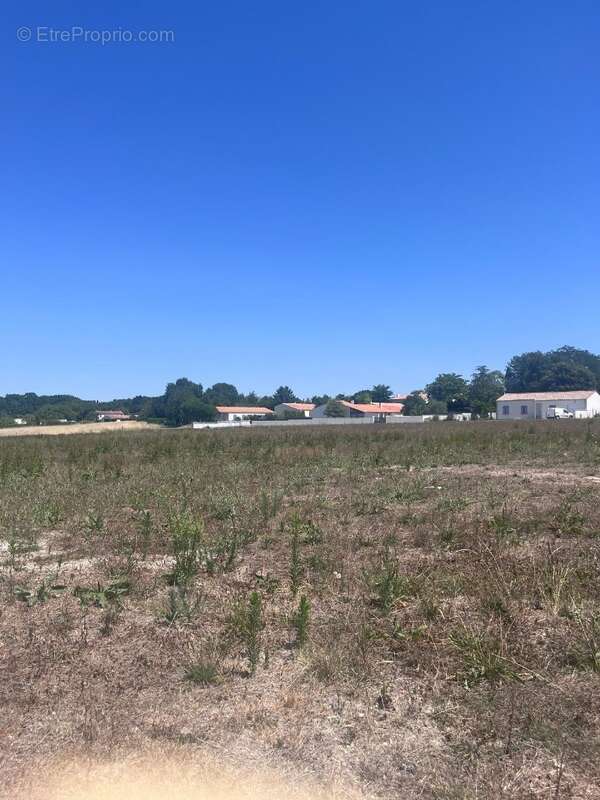 Terrain à ETAULES