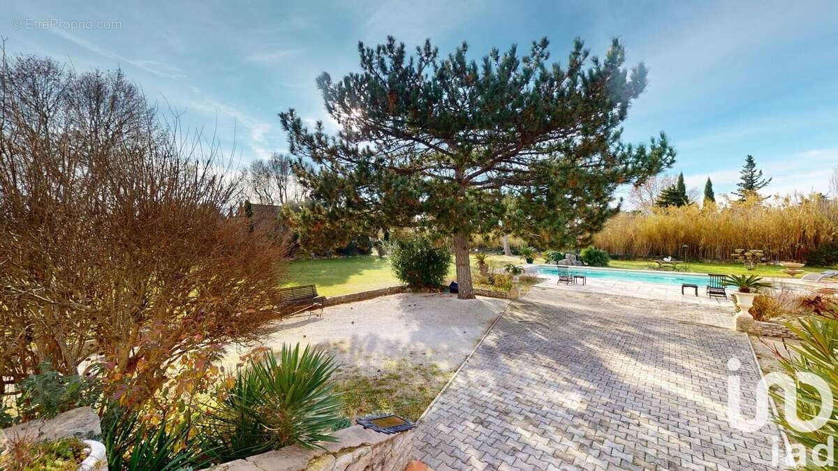 Photo 4 - Maison à CAVAILLON