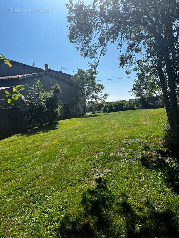 Maison 87m2 8300m2 de terrain plus dépendances - photo 10