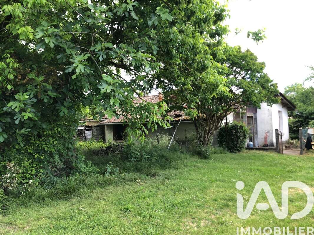 Photo 3 - Maison à SAINT-CIERS-D'ABZAC