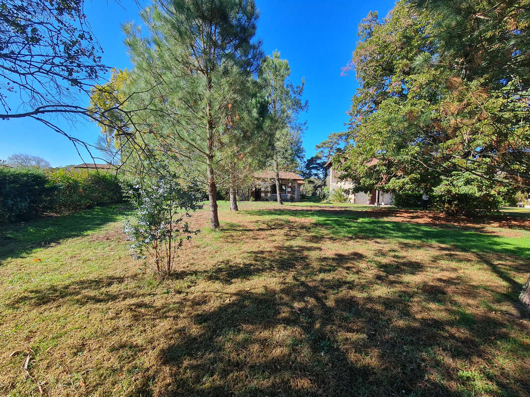 Maison à SAUGNACQ-ET-MURET
