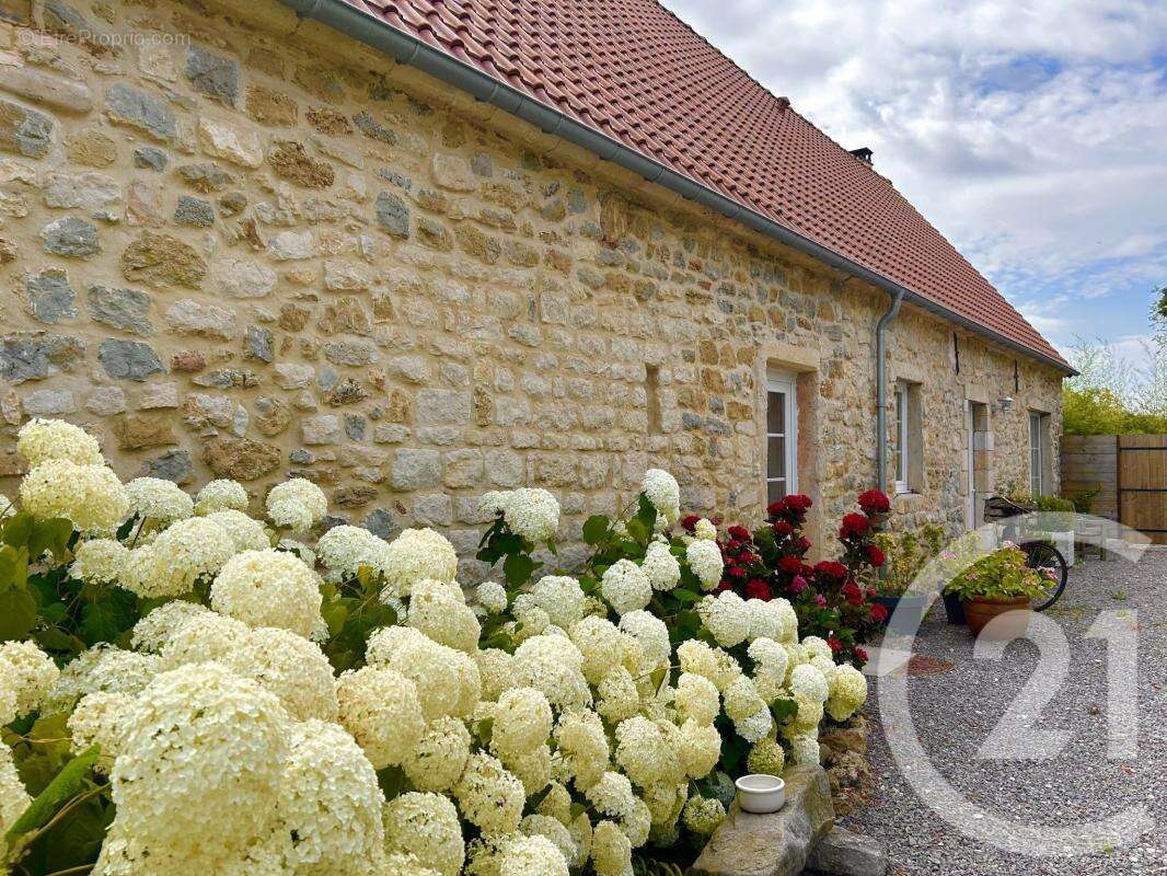 Maison à OFFRETHUN