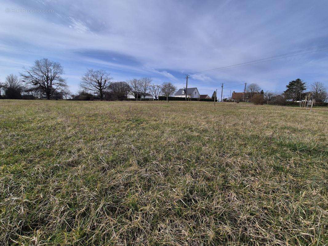 Terrain à CHOUZY-SUR-CISSE