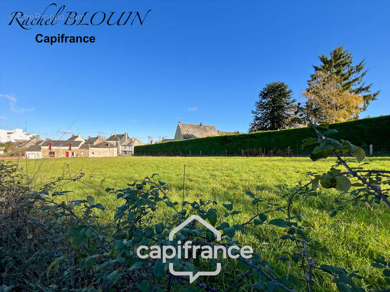 Terrain à MARTIGNE-FERCHAUD