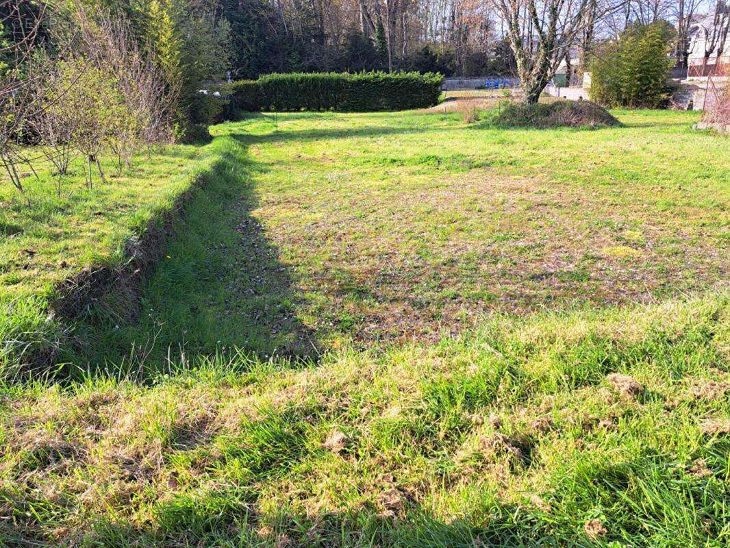 Terrain à BRIOLLAY