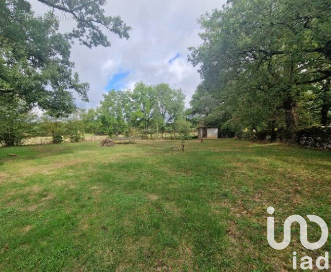 Photo 1 - Terrain à CAMBES