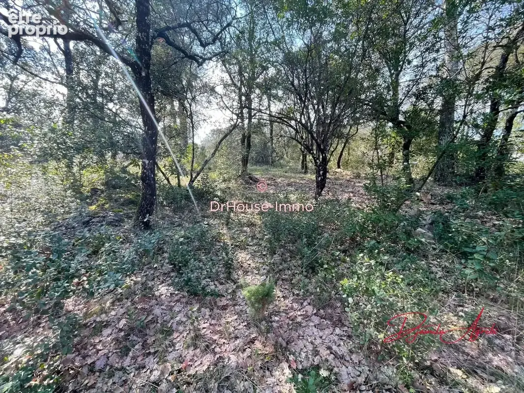 Terrain 7 807 m² à vendre à Saint-Maximin-La-Sainte-Baume (83470) - photo 17