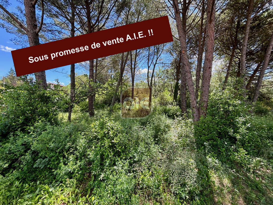 Terrain à PRADES-LE-LEZ