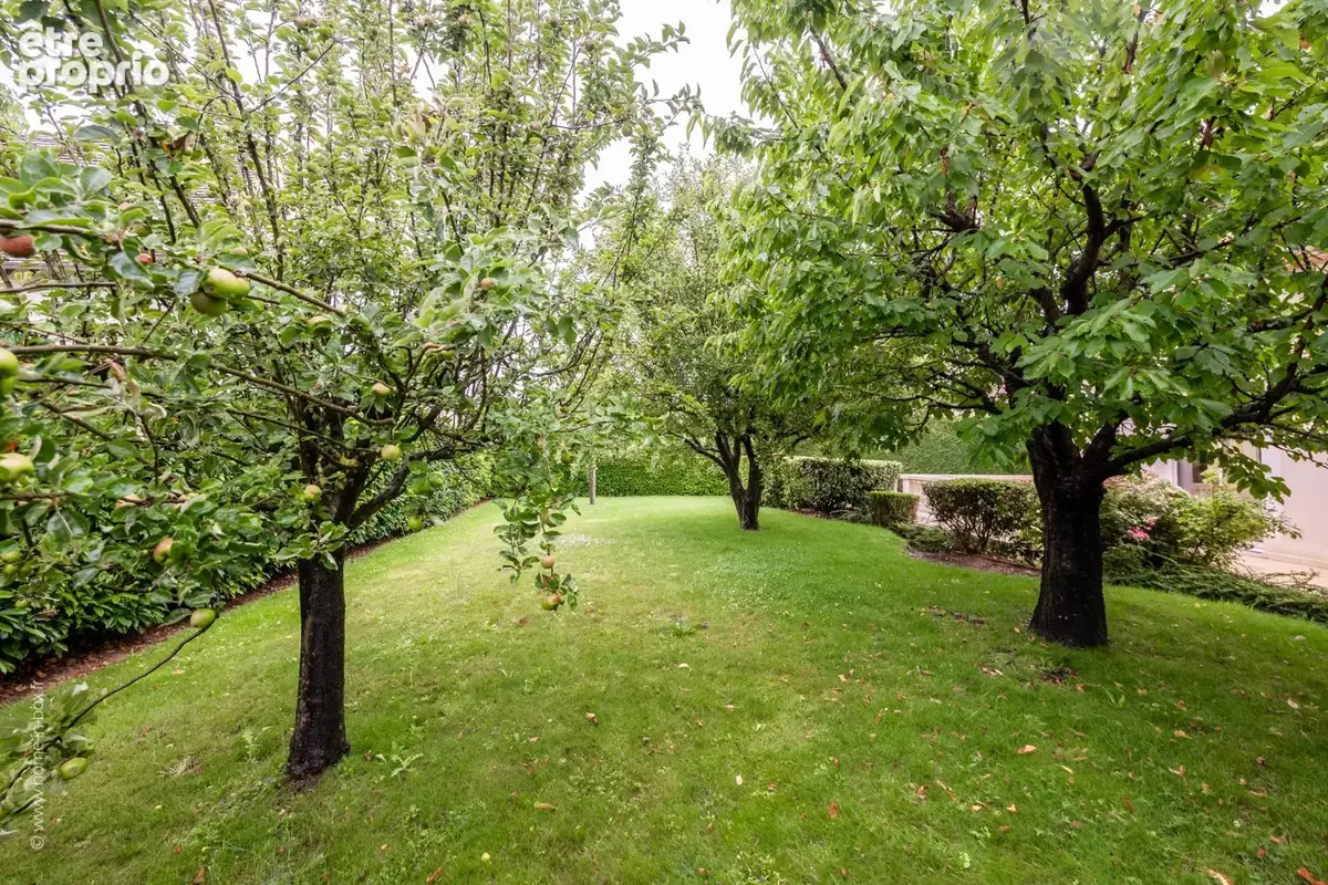 Maison 7 pièces   250 m2   jardin 1 140 m2   sous-sol total - photo 4