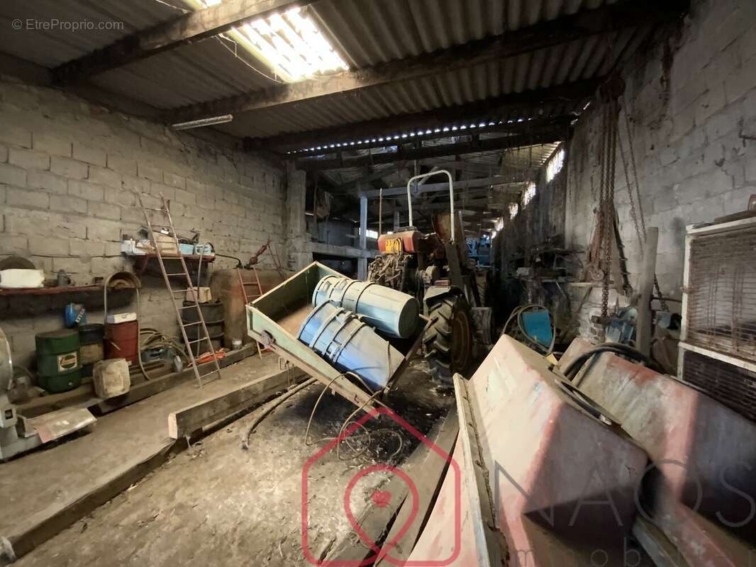 Commerce à MOUZILLON