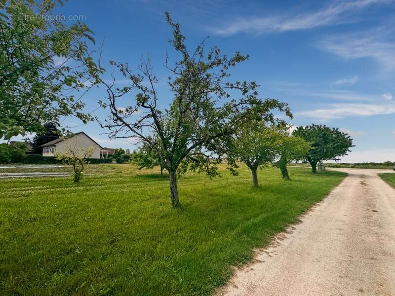 Terrain à MAGNY-SUR-TILLE