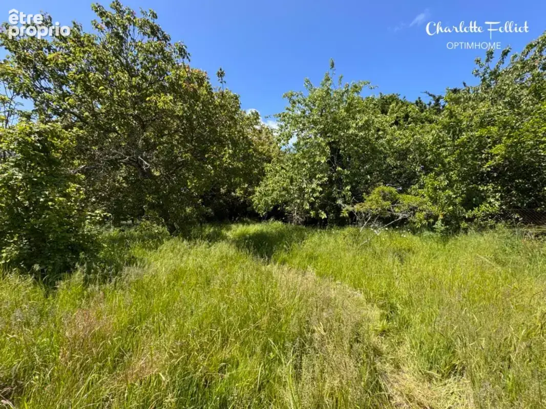 Le Minihic sur Rance - Maison de Maître 188 m2 - photo 11