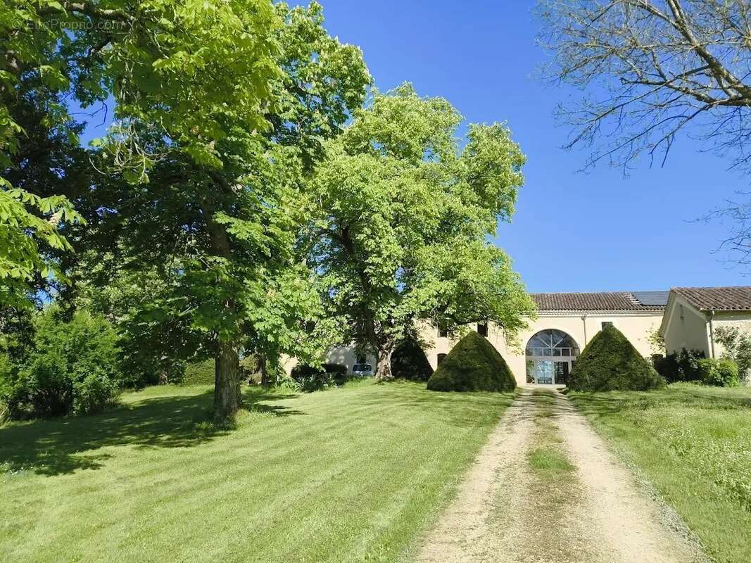 Domaine Gascon de Charme avec Chambres d'Hôtes et Gîtes au Cœur de 14 Hectares de Nature Préservée - photo 3