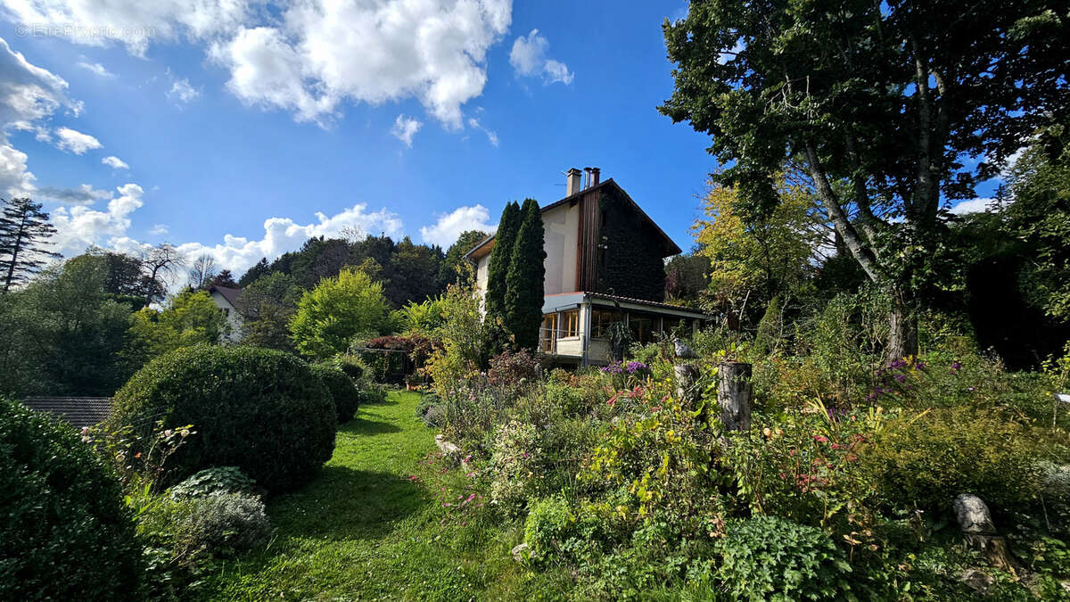Demeure d’Exception aux Portes de la Suisse : Ancien Hôtel Particulier de 300 m2 face au Doubs - photo 6