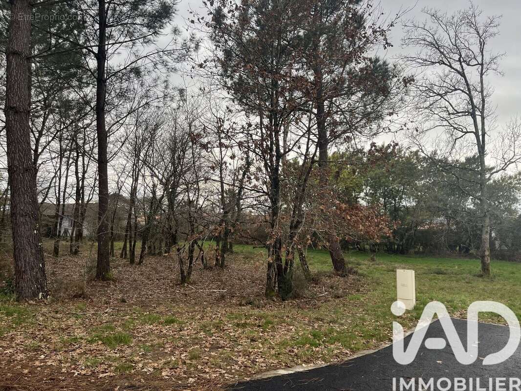 Photo 2 - Terrain à GUJAN-MESTRAS