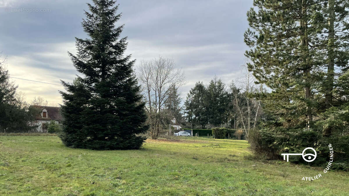 Terrain à MONTRIEUX-EN-SOLOGNE