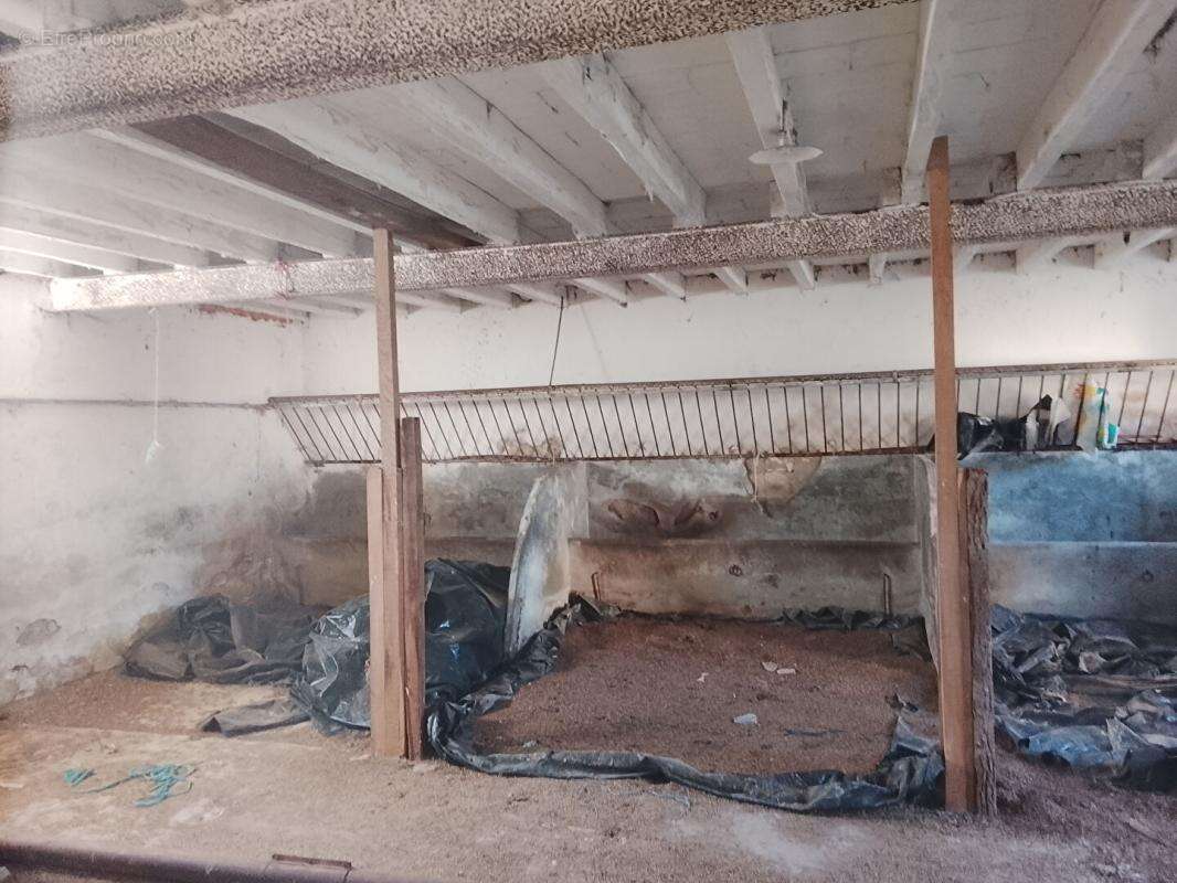 Corps de ferme Pouligny Saint Pierre 150 m2 - photo 7