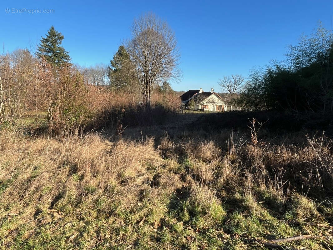 Terrain à LADIGNAC-LE-LONG