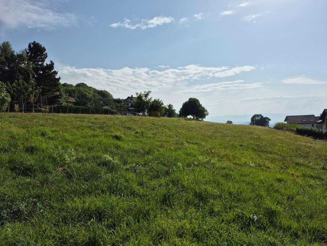 Terrain à SAINT-BLAISE