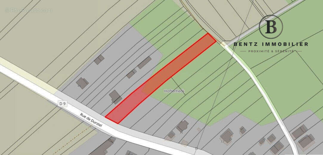 Terrain 2405 m² à Asswiller  - photo 5