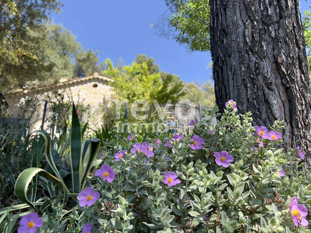 Votre havre de paix en Provence, avec le château en toile de fond ! - photo 13