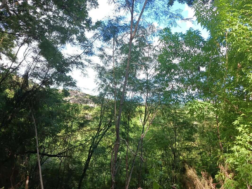 Maison à LA POSSESSION