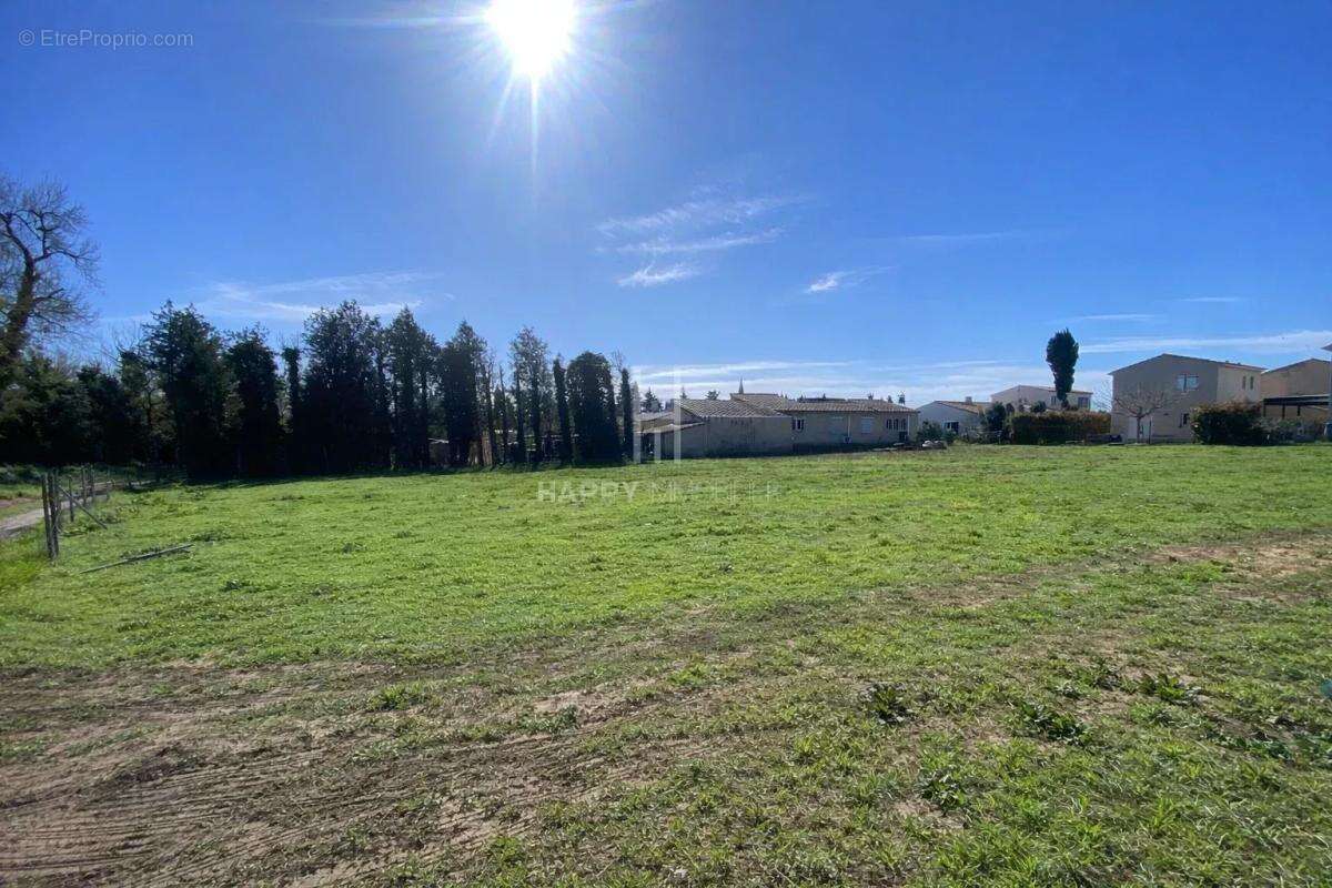 Terrain à MAUSSANE-LES-ALPILLES