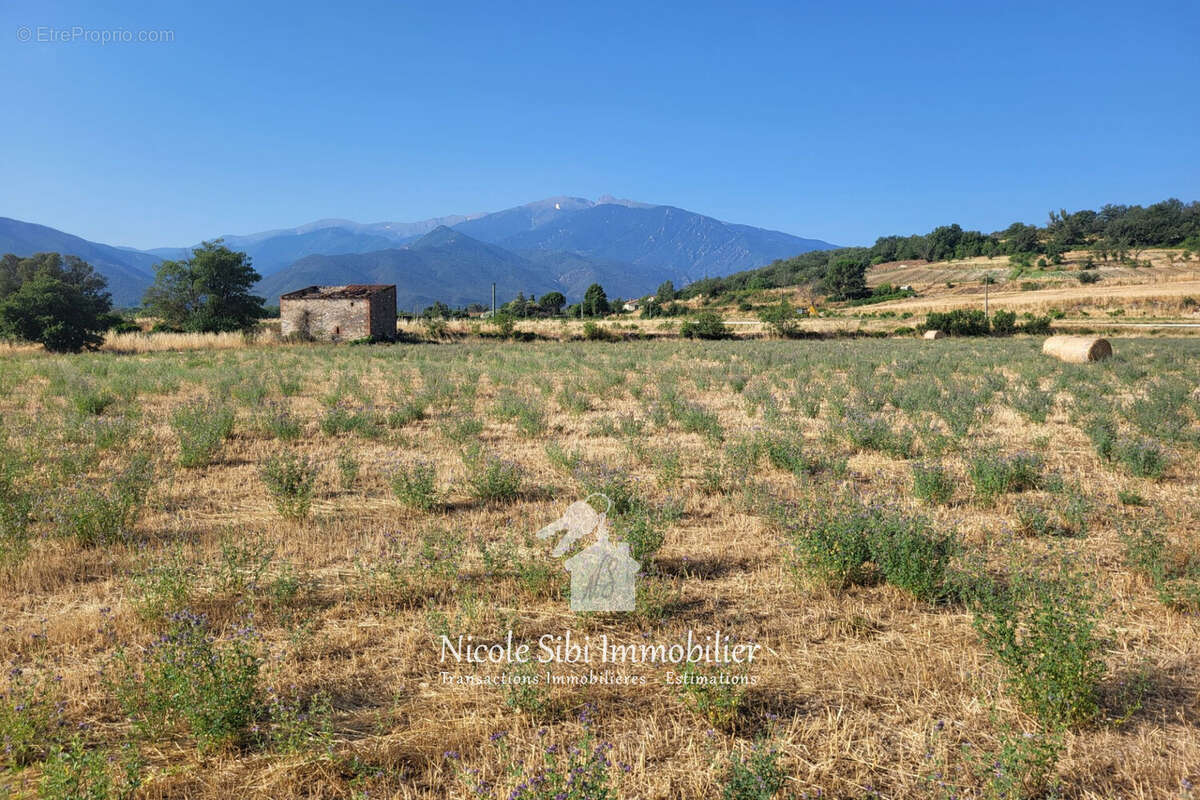 Terrain à VINCA