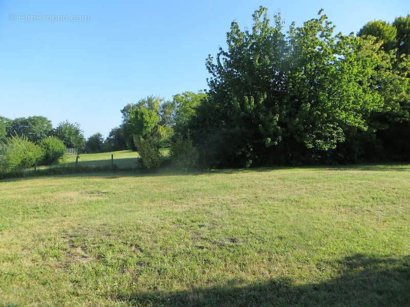 Terrain à SAINT-PAUL-LIZONNE