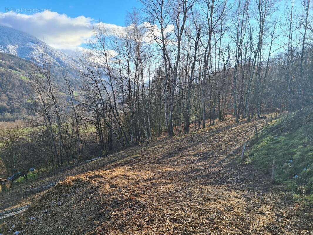 Terrain 5028 m² à Marthod  - photo 5