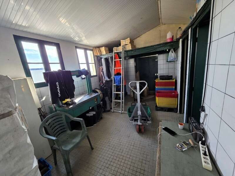 Commerce à DOLUS-D&#039;OLERON