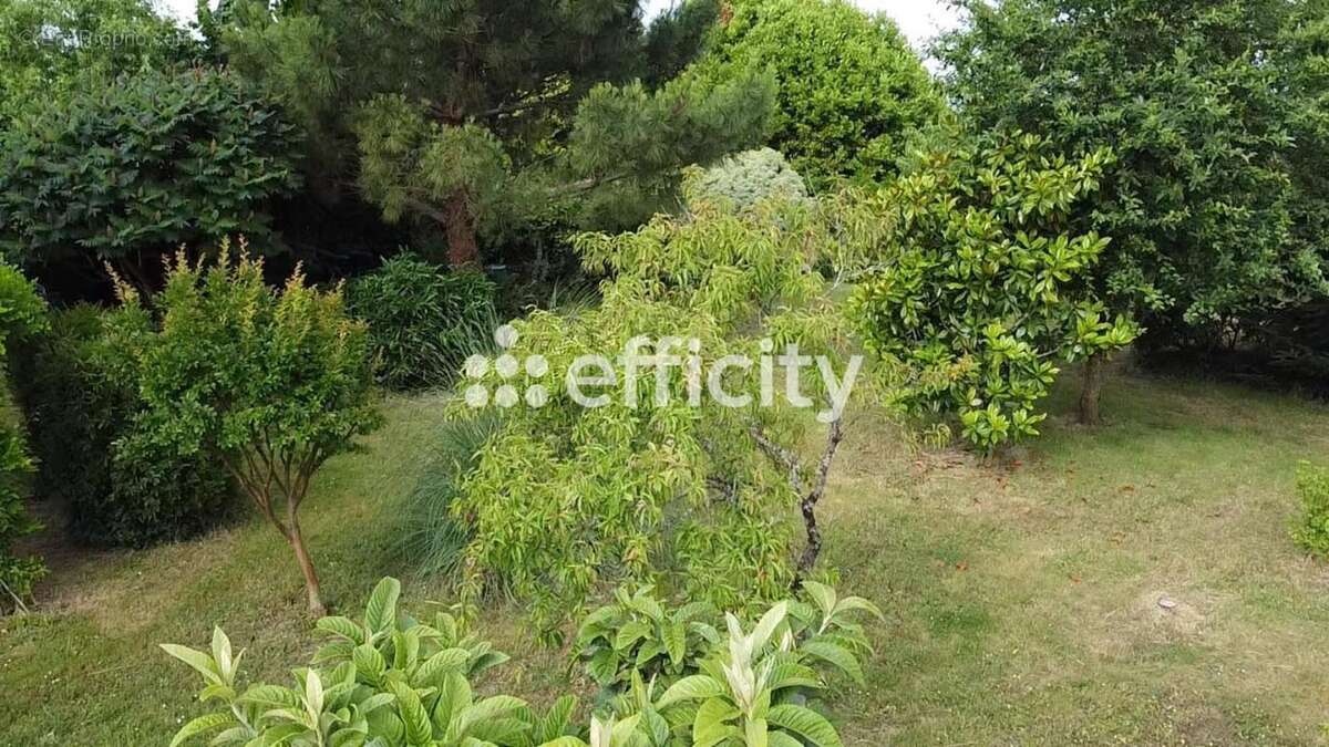 Terrain à DOLUS-D&#039;OLERON