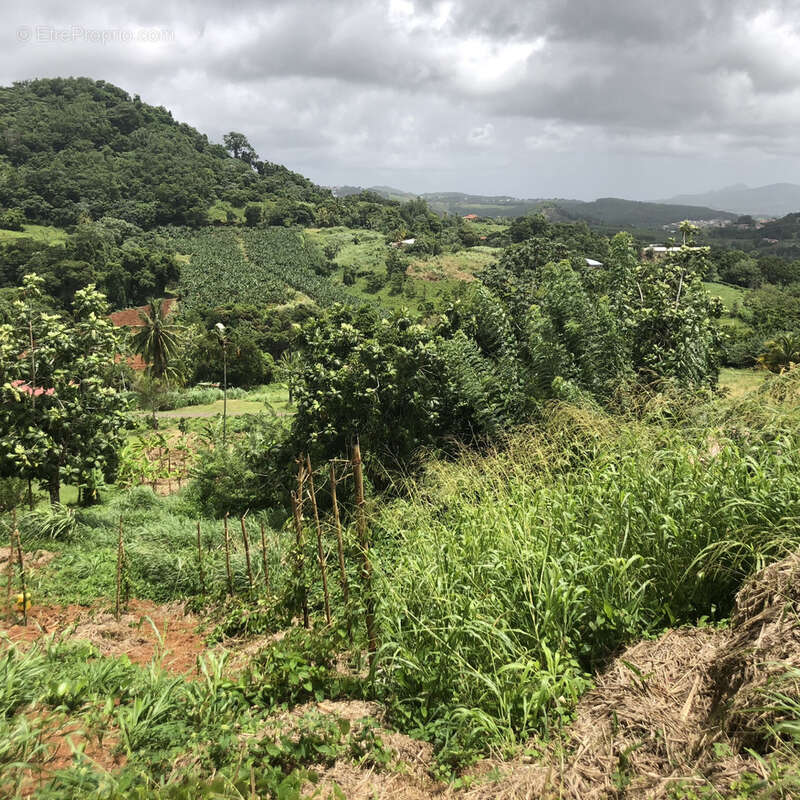 Terrain à LE FRANCOIS