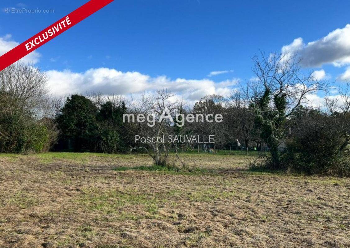 Terrain à CHANTERAC